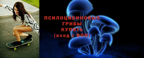 а пвп мука Богданович