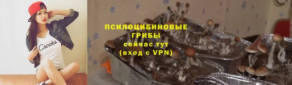 а пвп мука Богданович