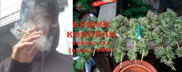 ешки Богородск