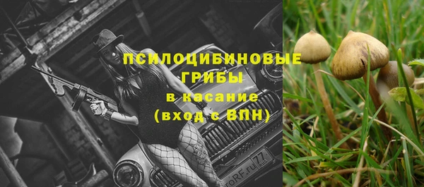 а пвп мука Богданович