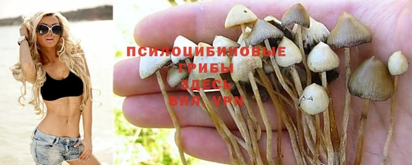 а пвп мука Богданович